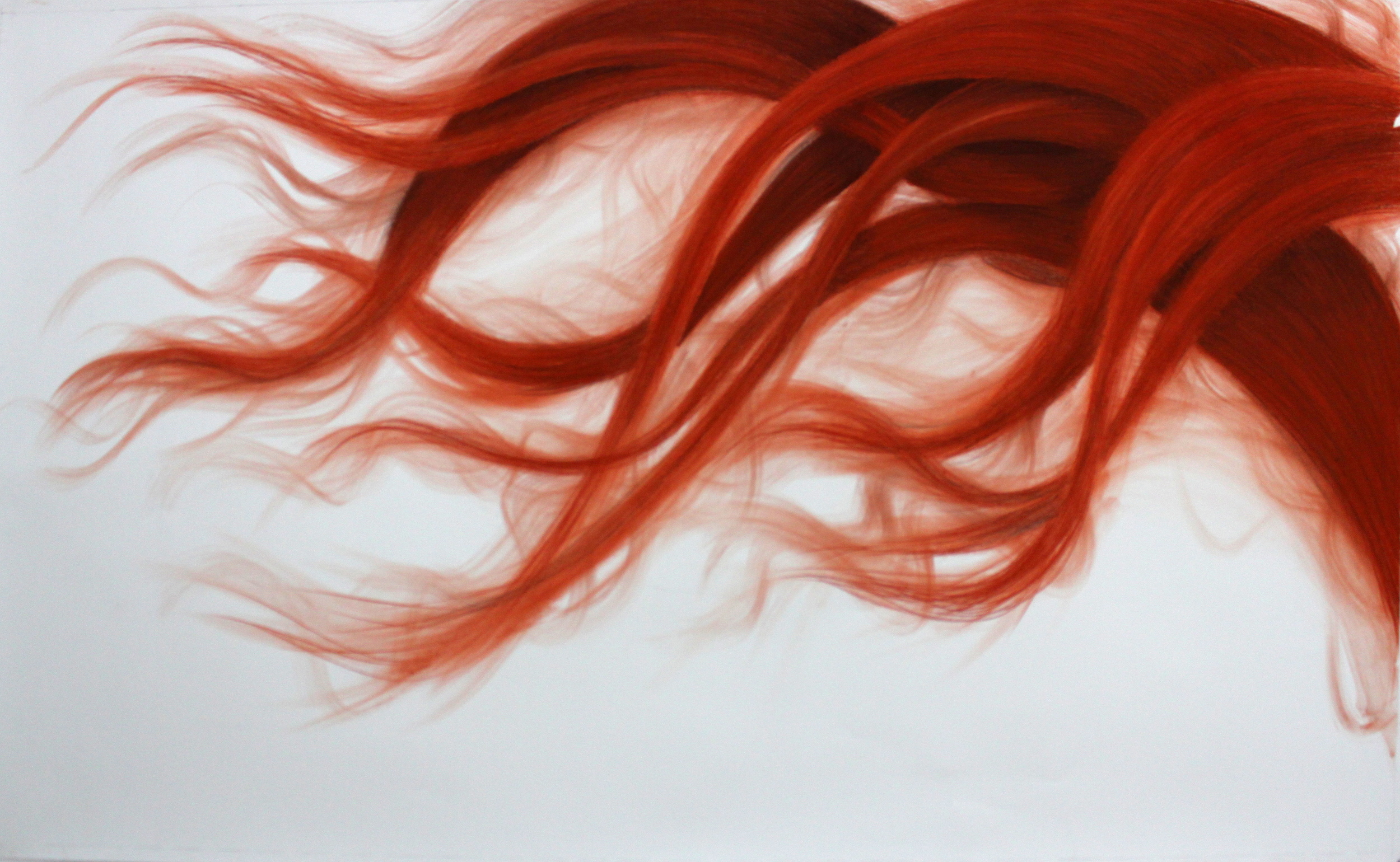 Wisp . Conte Crayon. Bryn Fraker