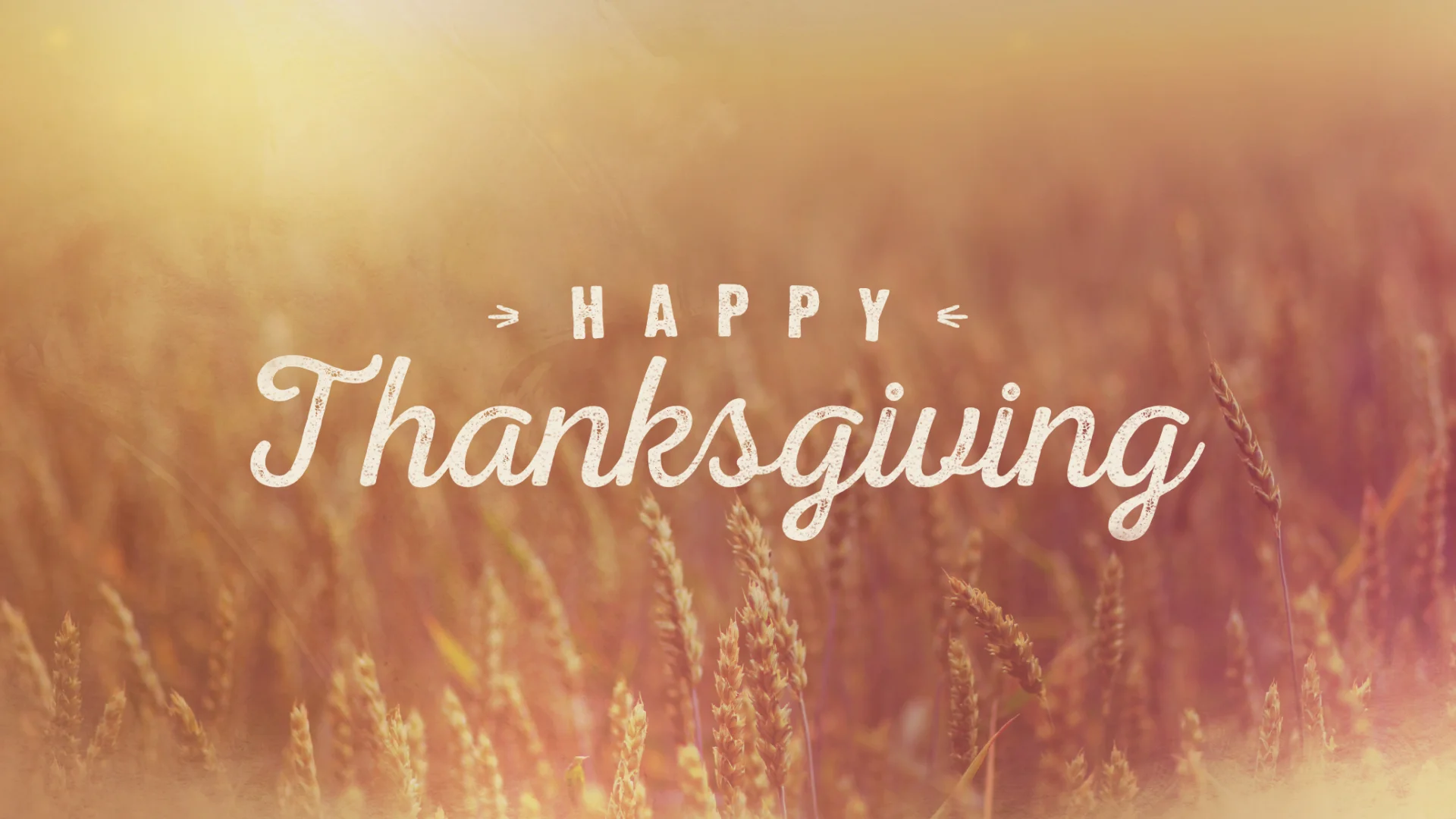 harvest-gold-thanksgiving-still.jpg