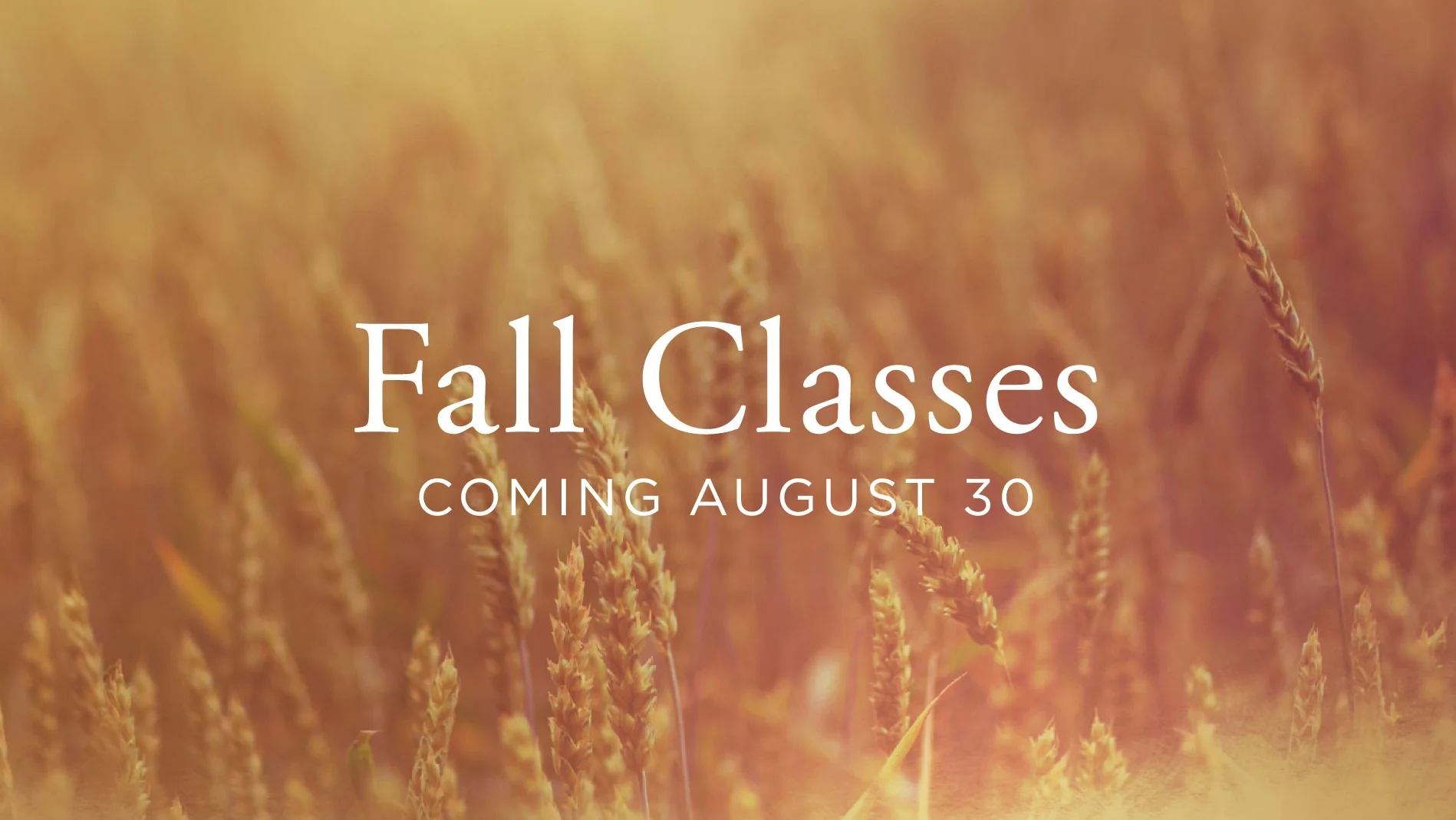 FALL-Classes-Intro.jpg