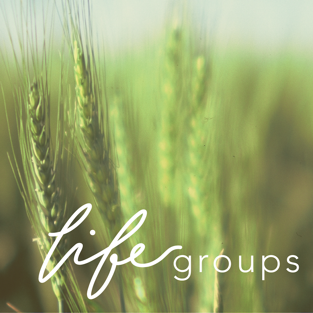 life groups square-02.png