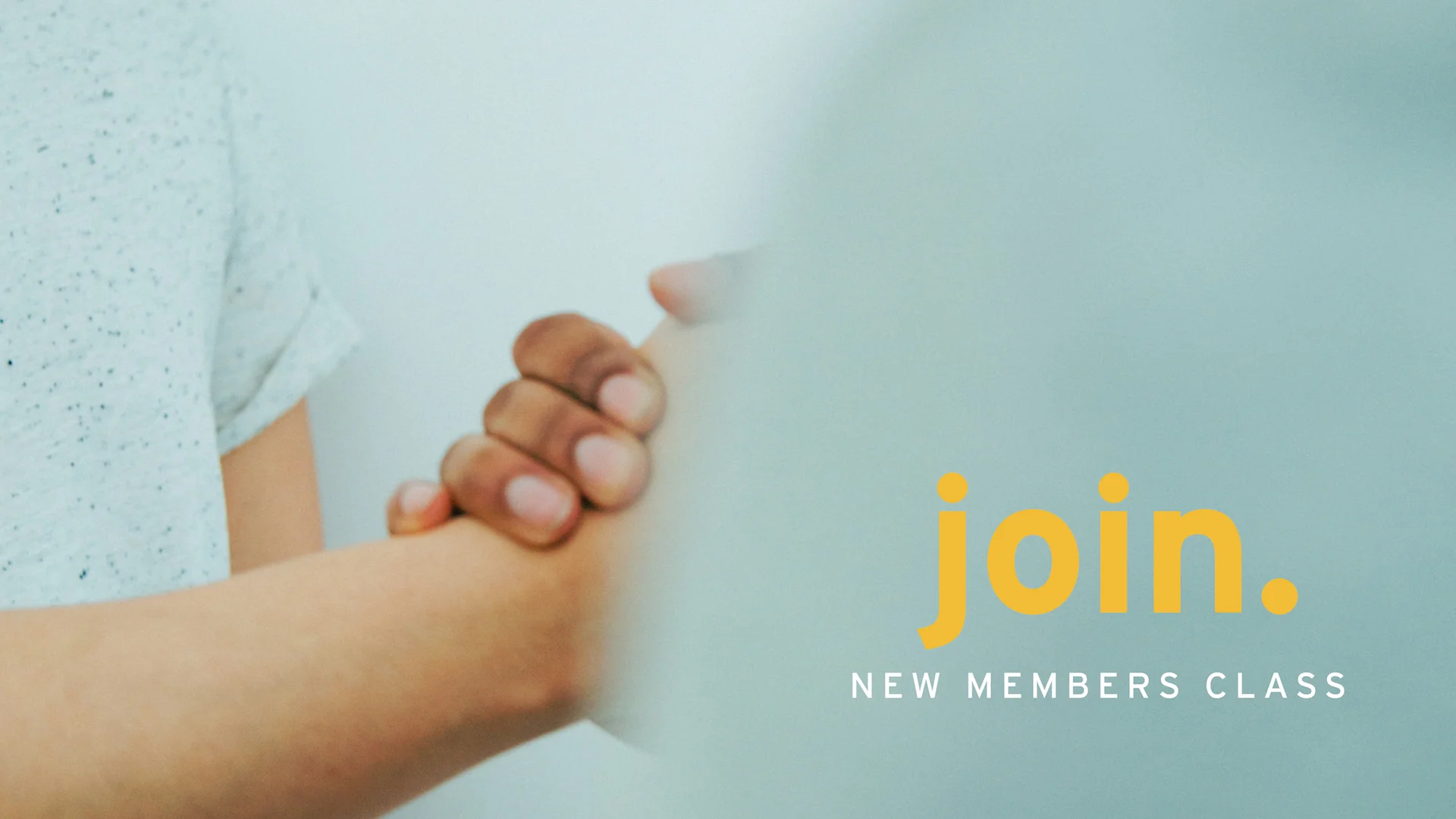 NEW MEMBERS-01.jpg