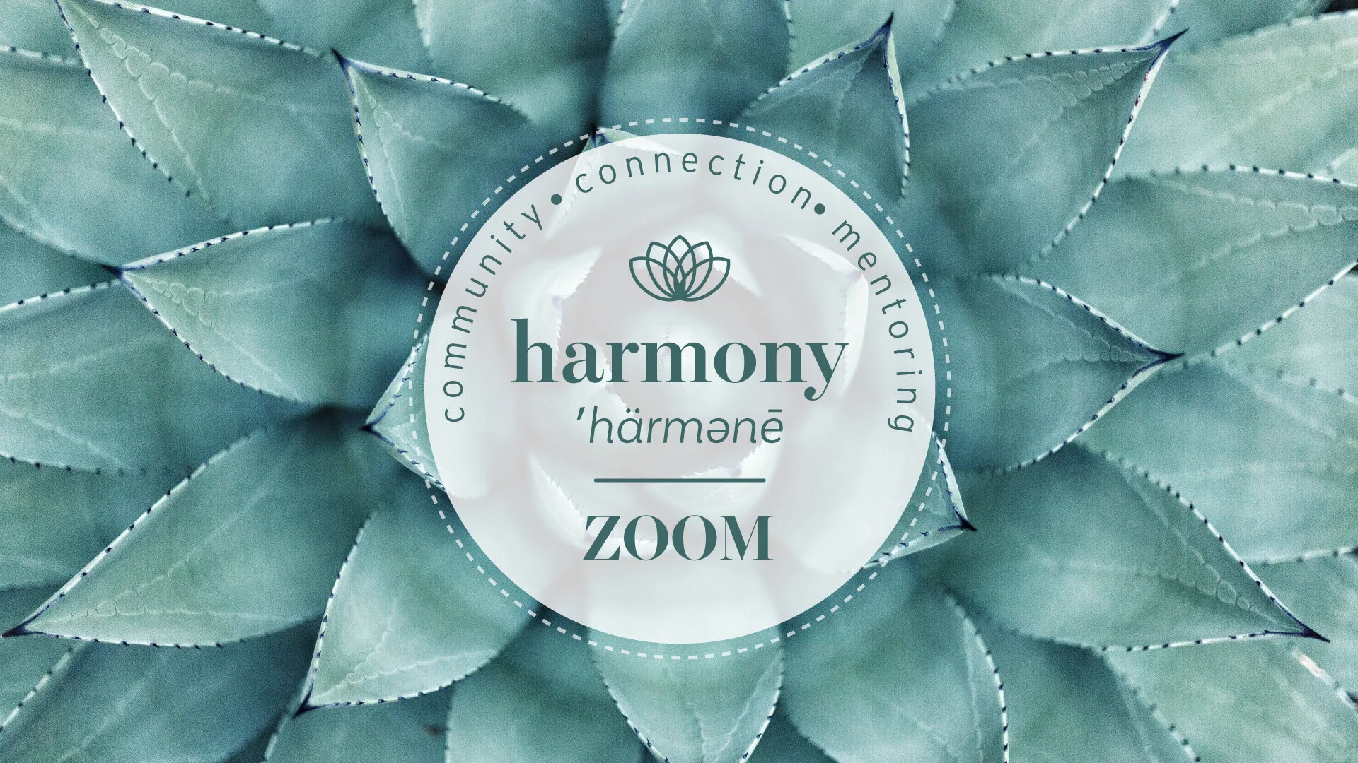 harmony-zoom.jpg