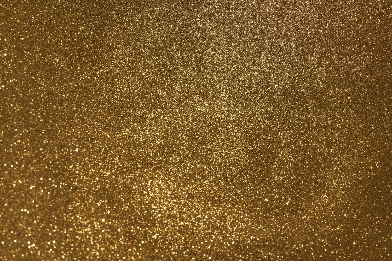 Stewarding His Glory