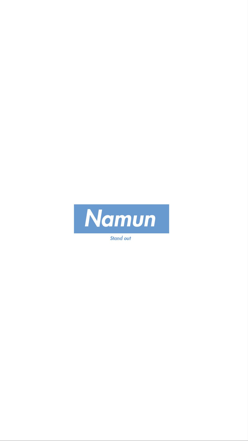 NAMUN+Newsletter+#2+(jpeg).009.jpeg