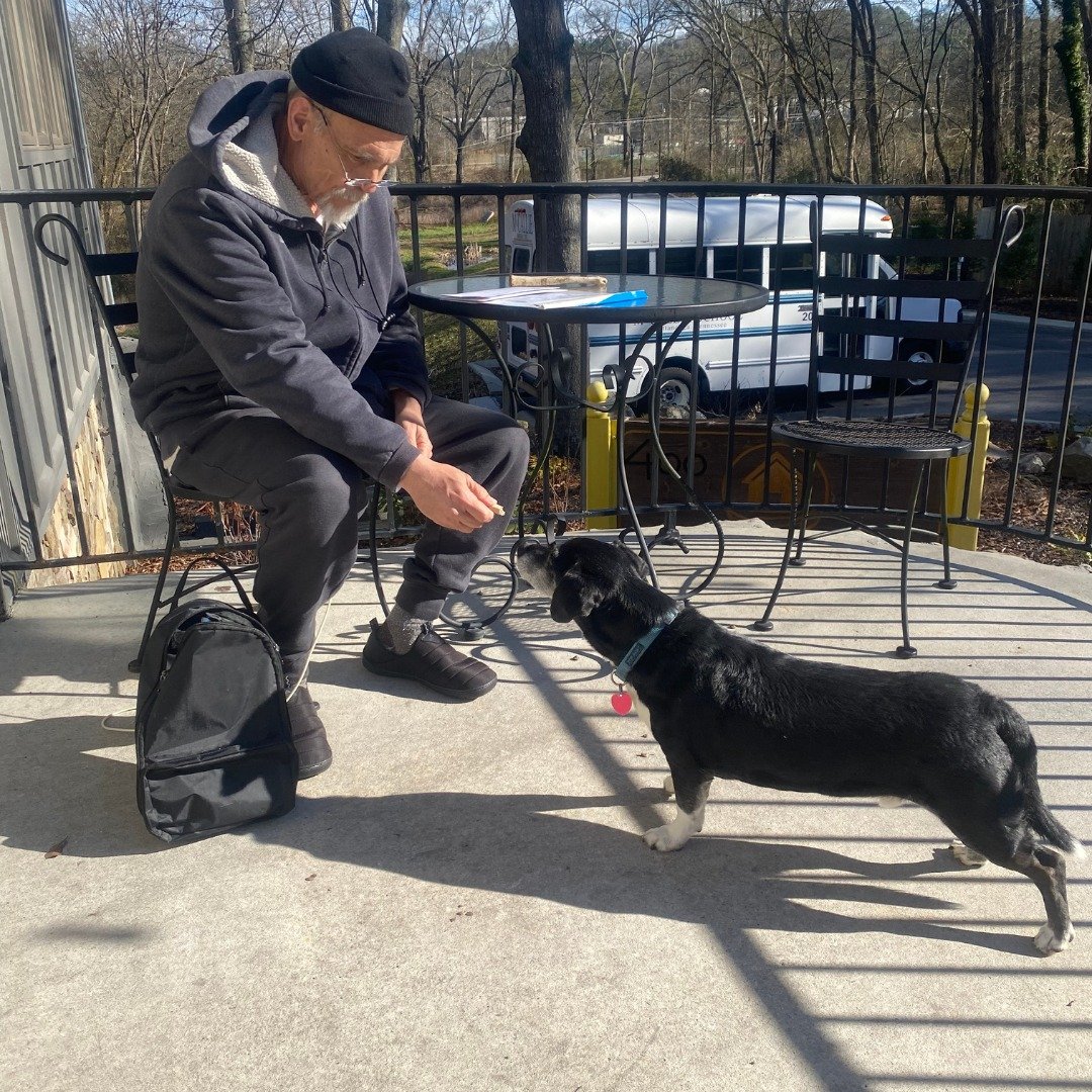 It's National Dog Day, and we would be remiss if we didn't commemorate by sharing some sweet photos of our very own Jack: Welcoming Committee, Snack Aficionado, Mischief Maker, and all-around good boy. 🐾