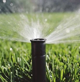 sprinkler1.jpg