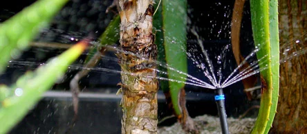 Micro Spray Irrigation