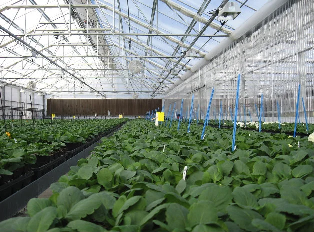 Modern Horticulture.jpg