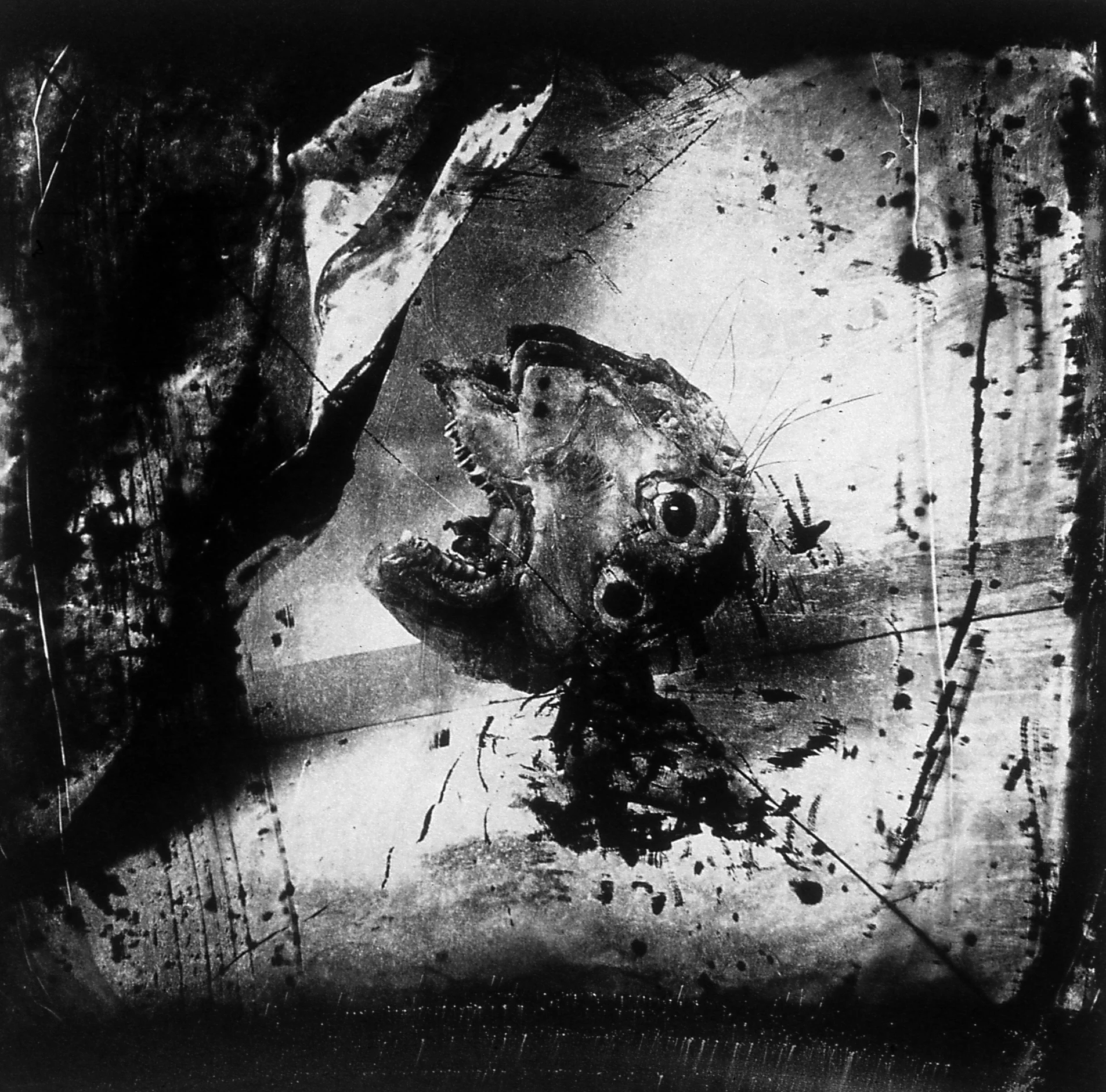 Witkin.03.jpg