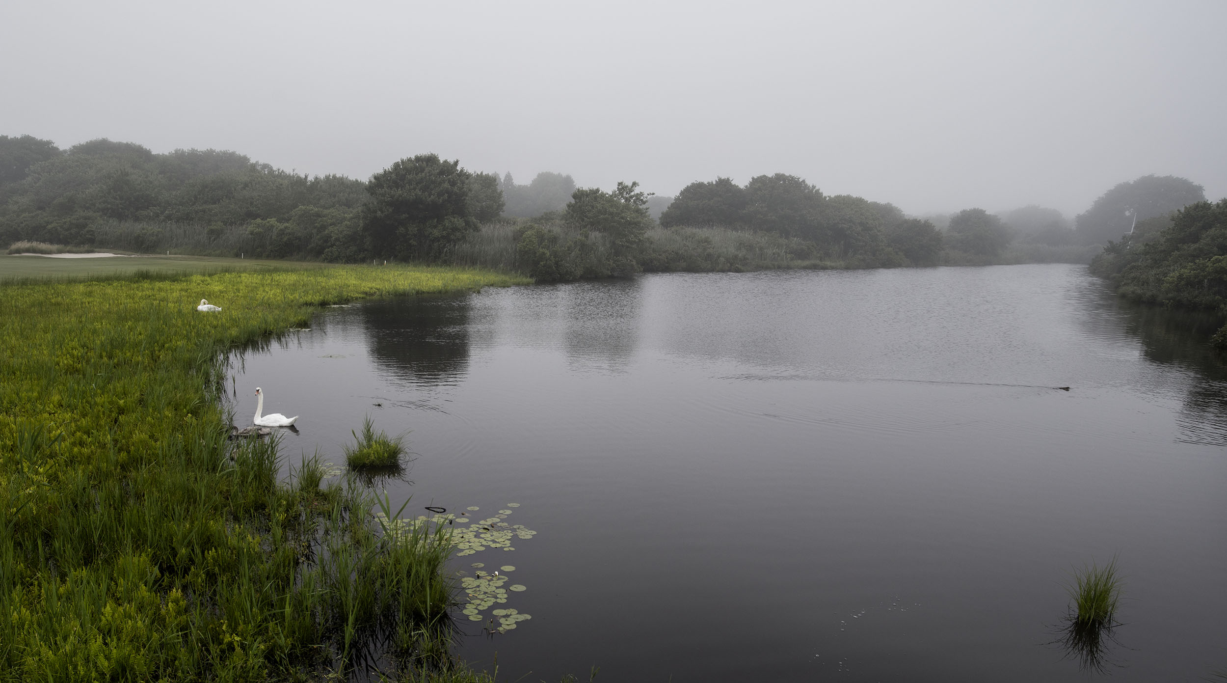 Summer_Hamptons_Golf Course 1_web.jpg