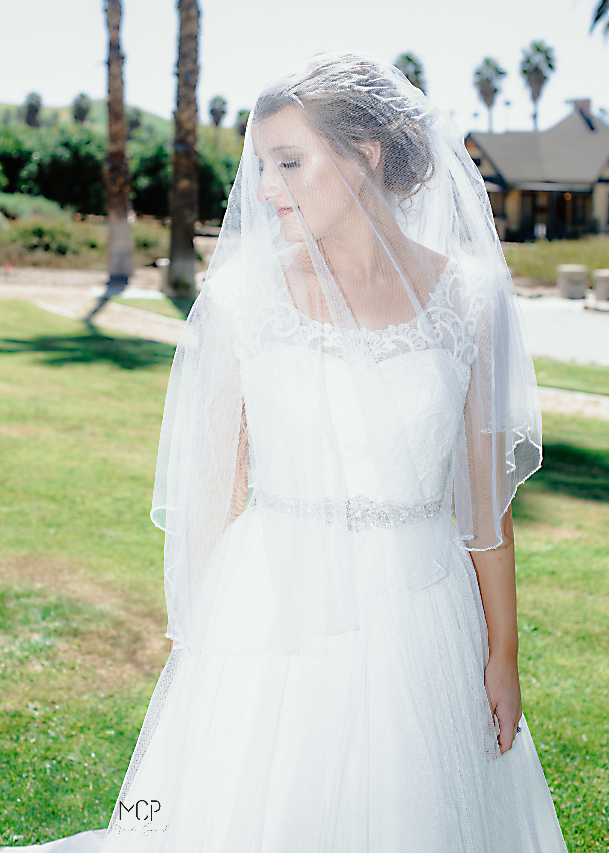 California Wedding & Elopement Photographer — California Wedding ...