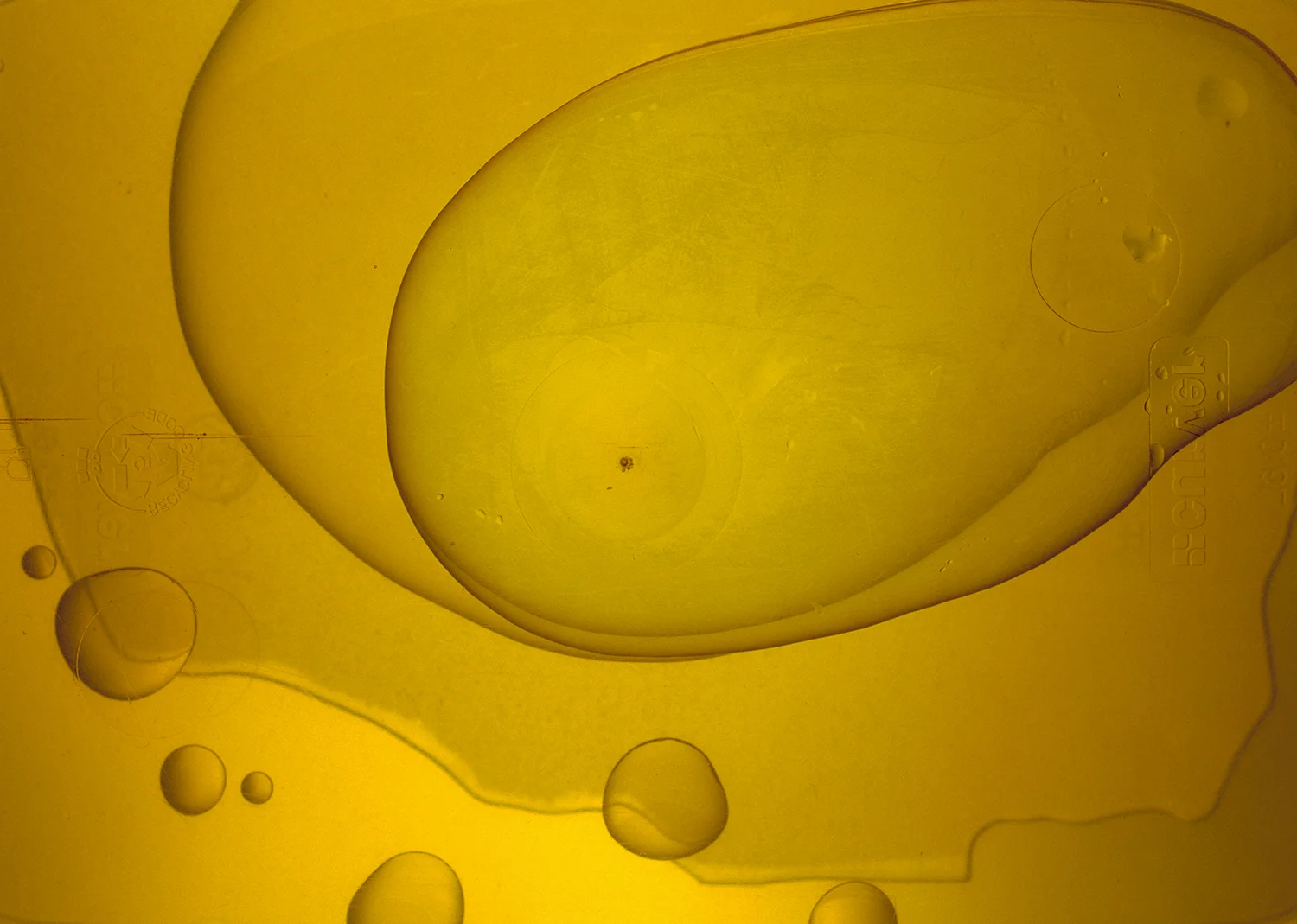 Gold-and-Yellow.jpg