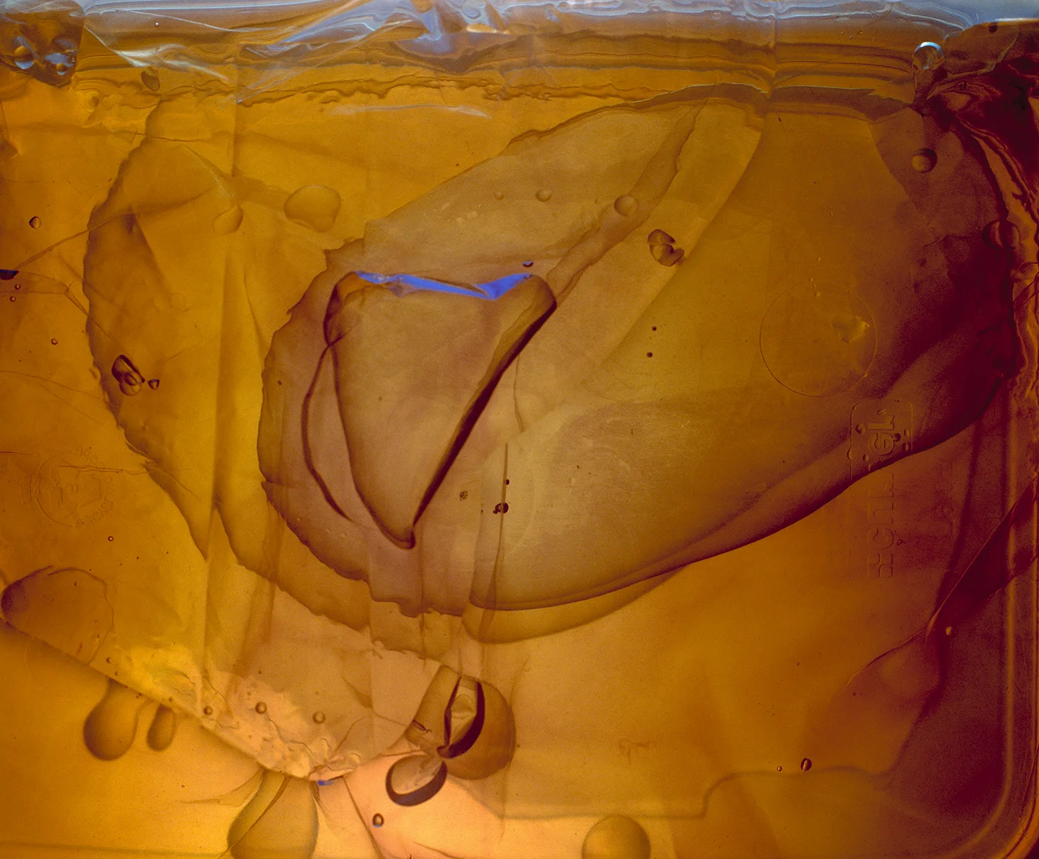Mustard-and-Cobalt.jpg