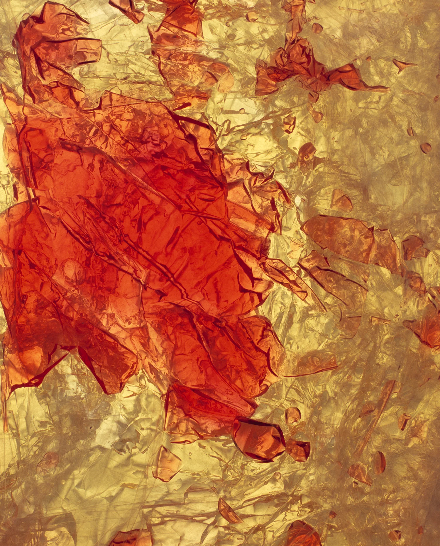 Yellow-Red-2.jpg