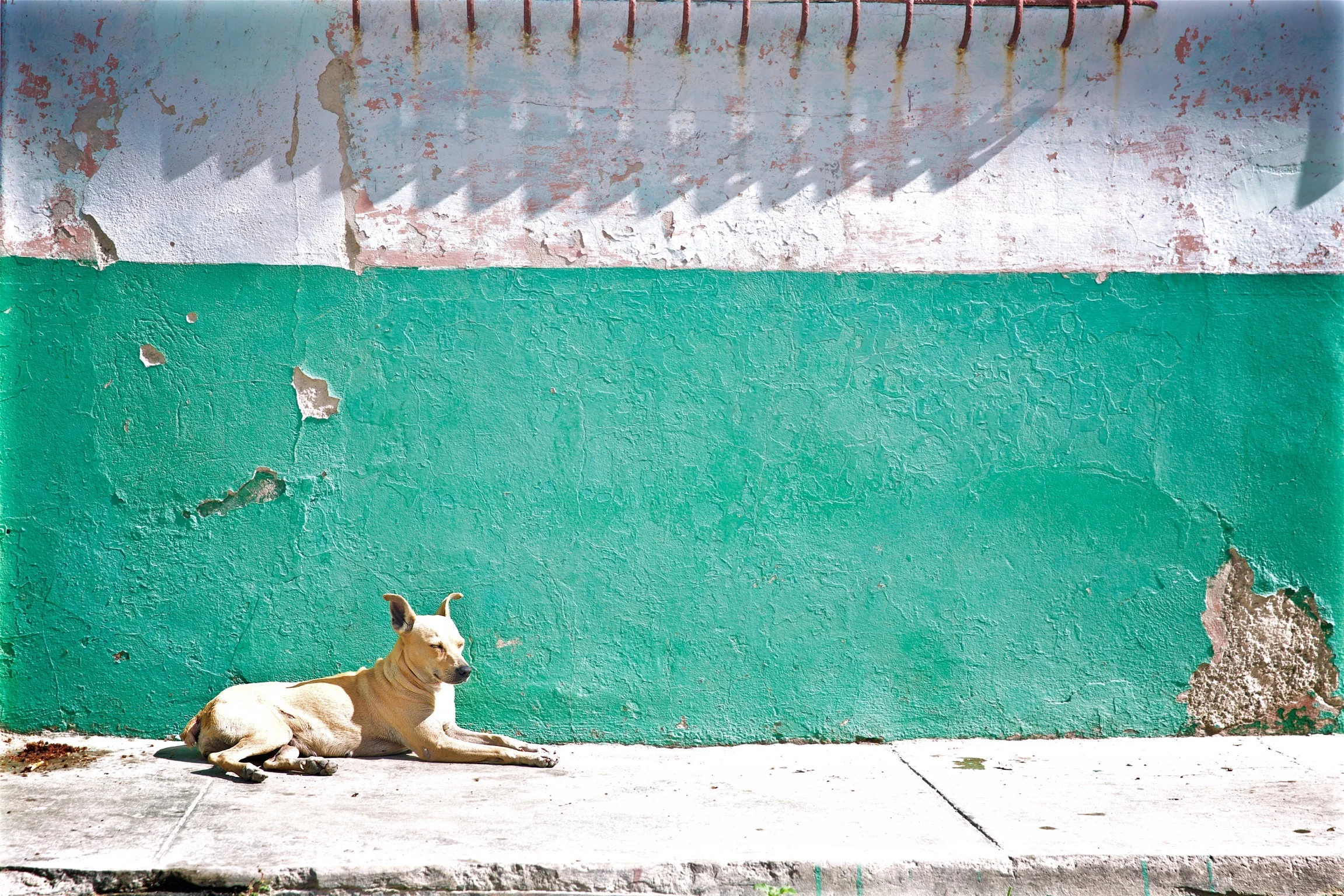 Cuba-2017-01-01 (12).jpg