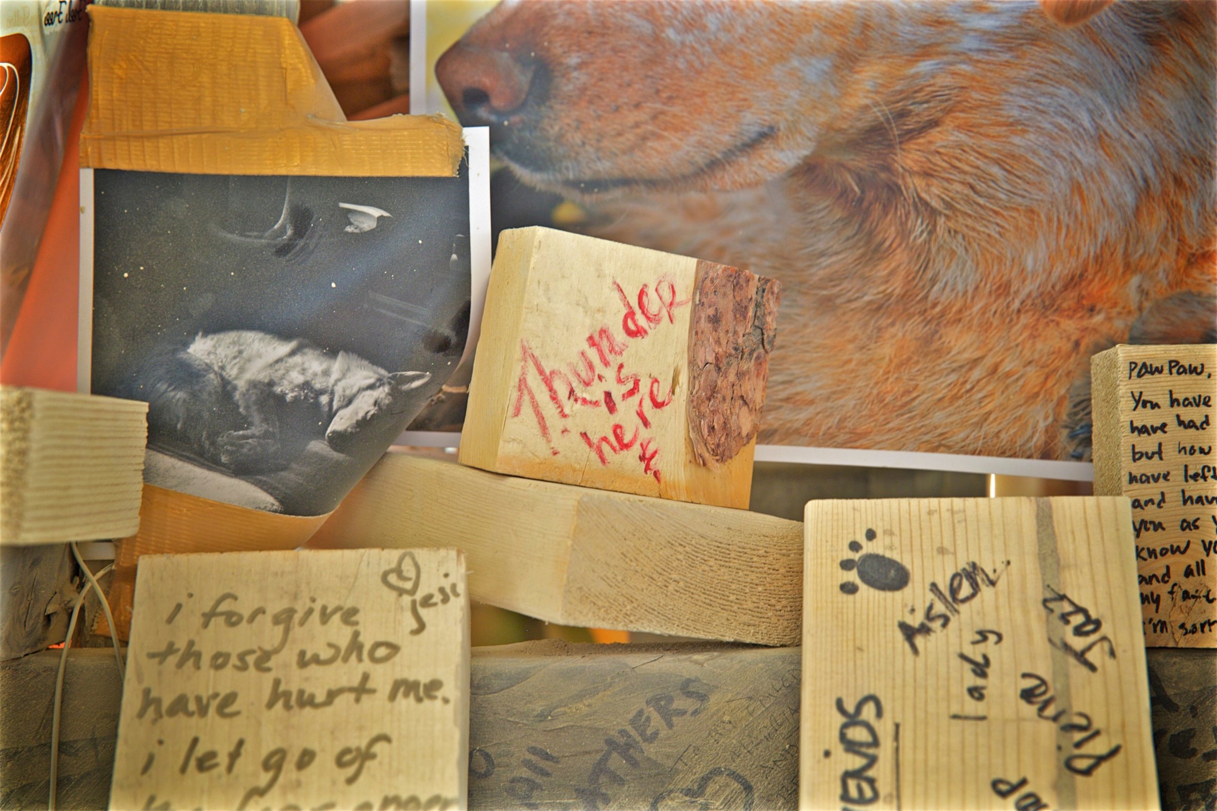 Burning Man 2016 (7).jpg