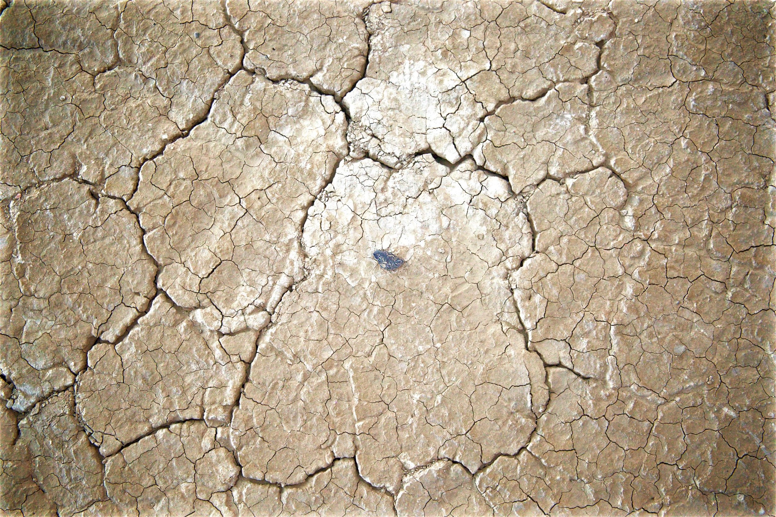 Burning Man 2016 (2).jpg