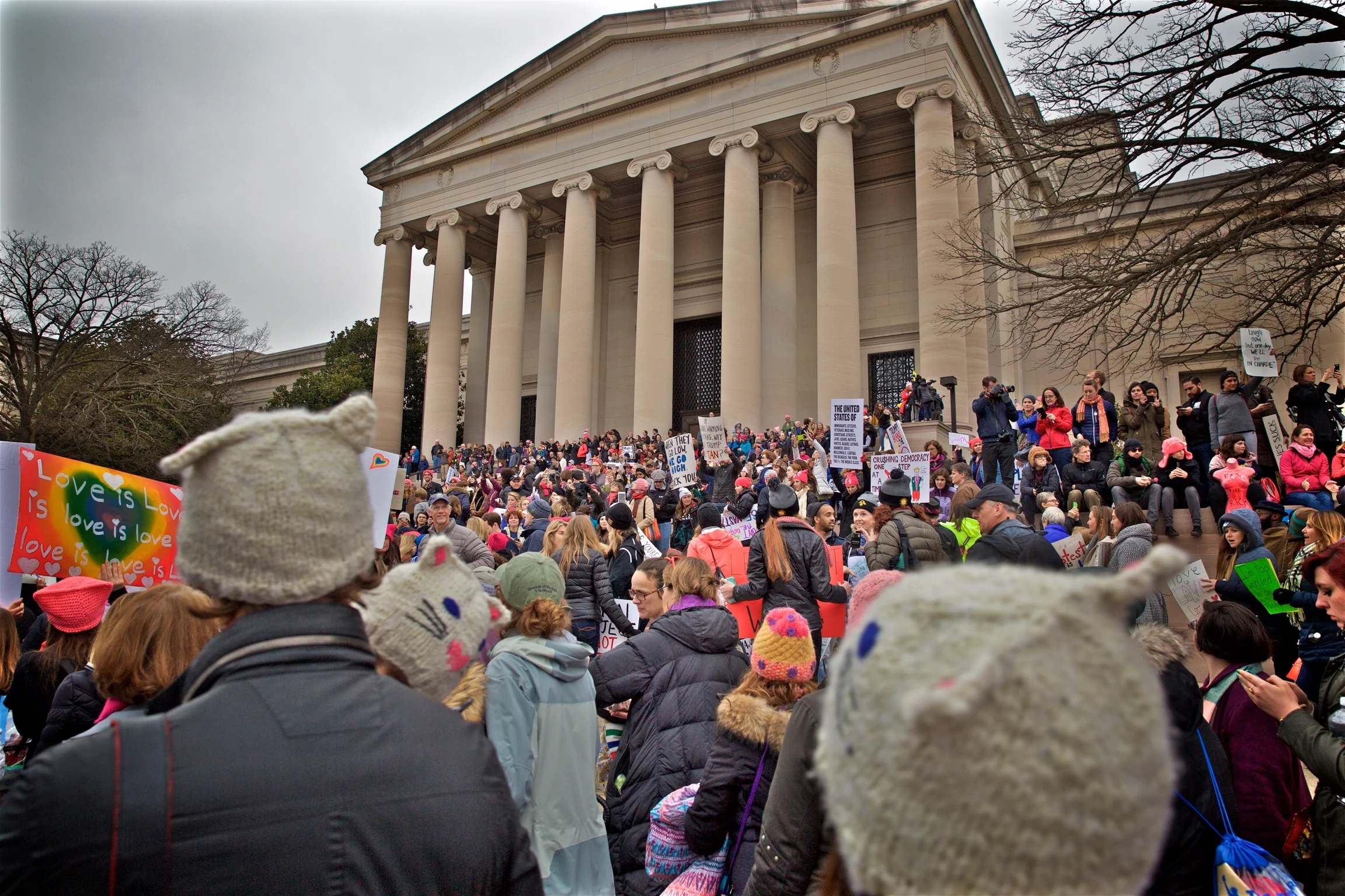 Capital Hill Steps Womens March Protest Washington DC2017.jpg