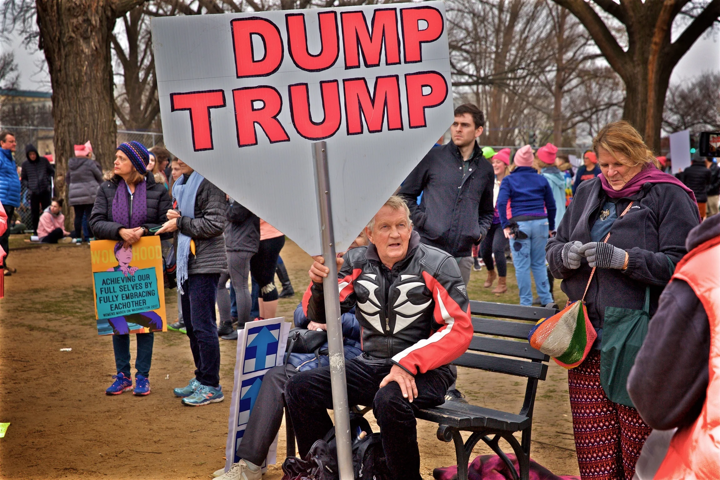 Dump Trump Womens March Protest Washington DC2017.jpg