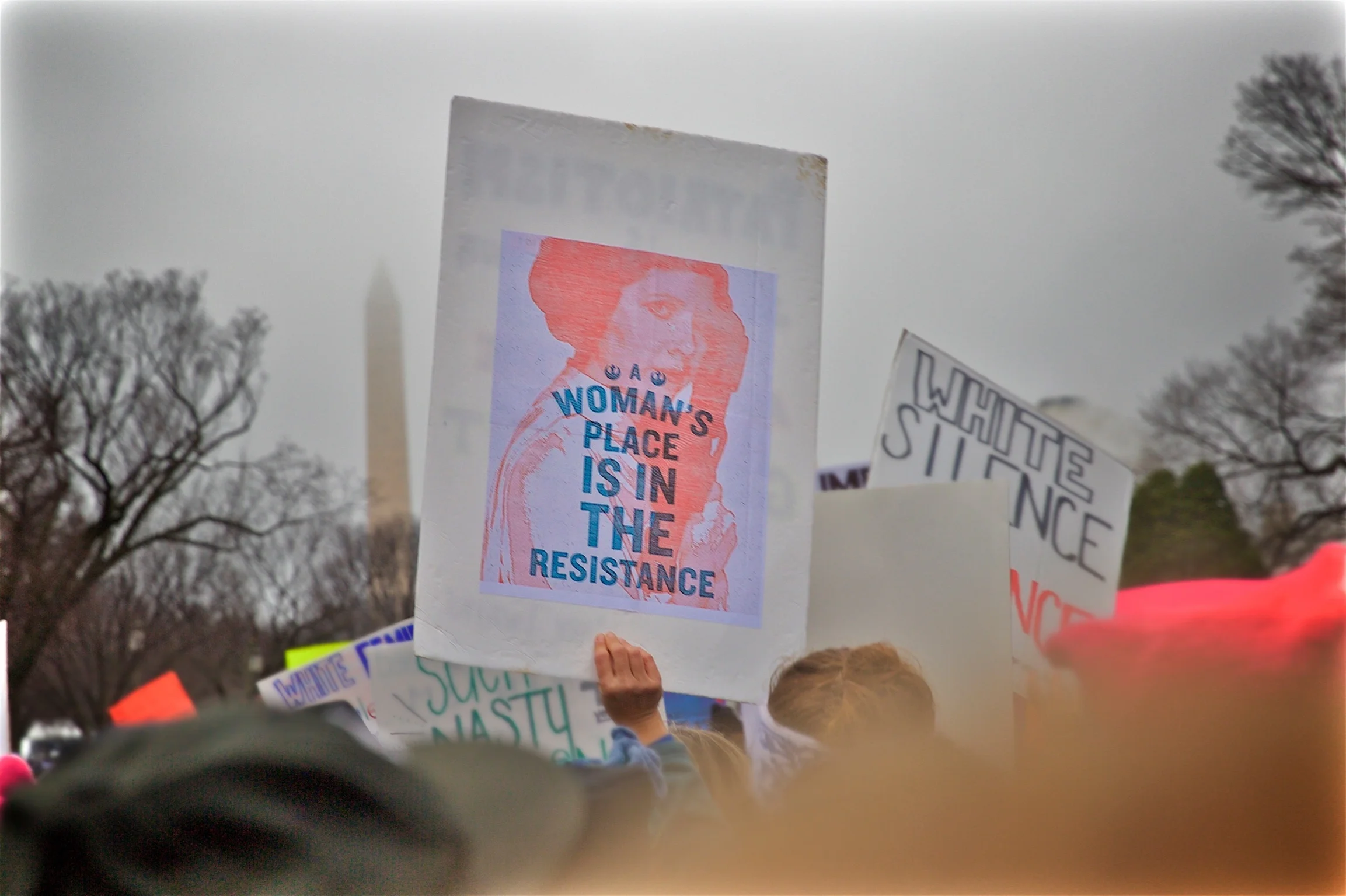 Resistance Womens March Protest Washington DC2017.jpg