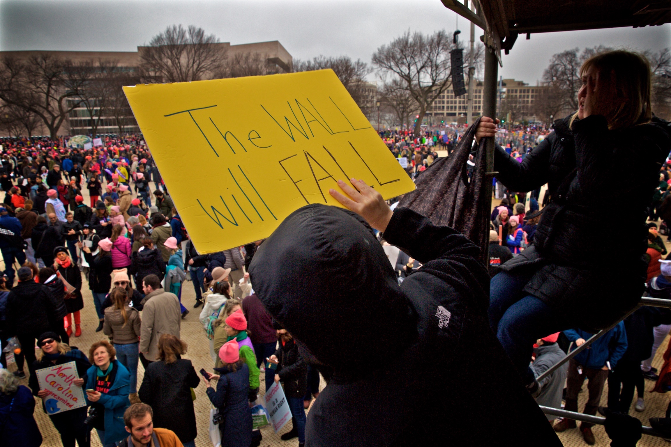 Wall Will Fall Womens March Protest Washington DC2017.jpg