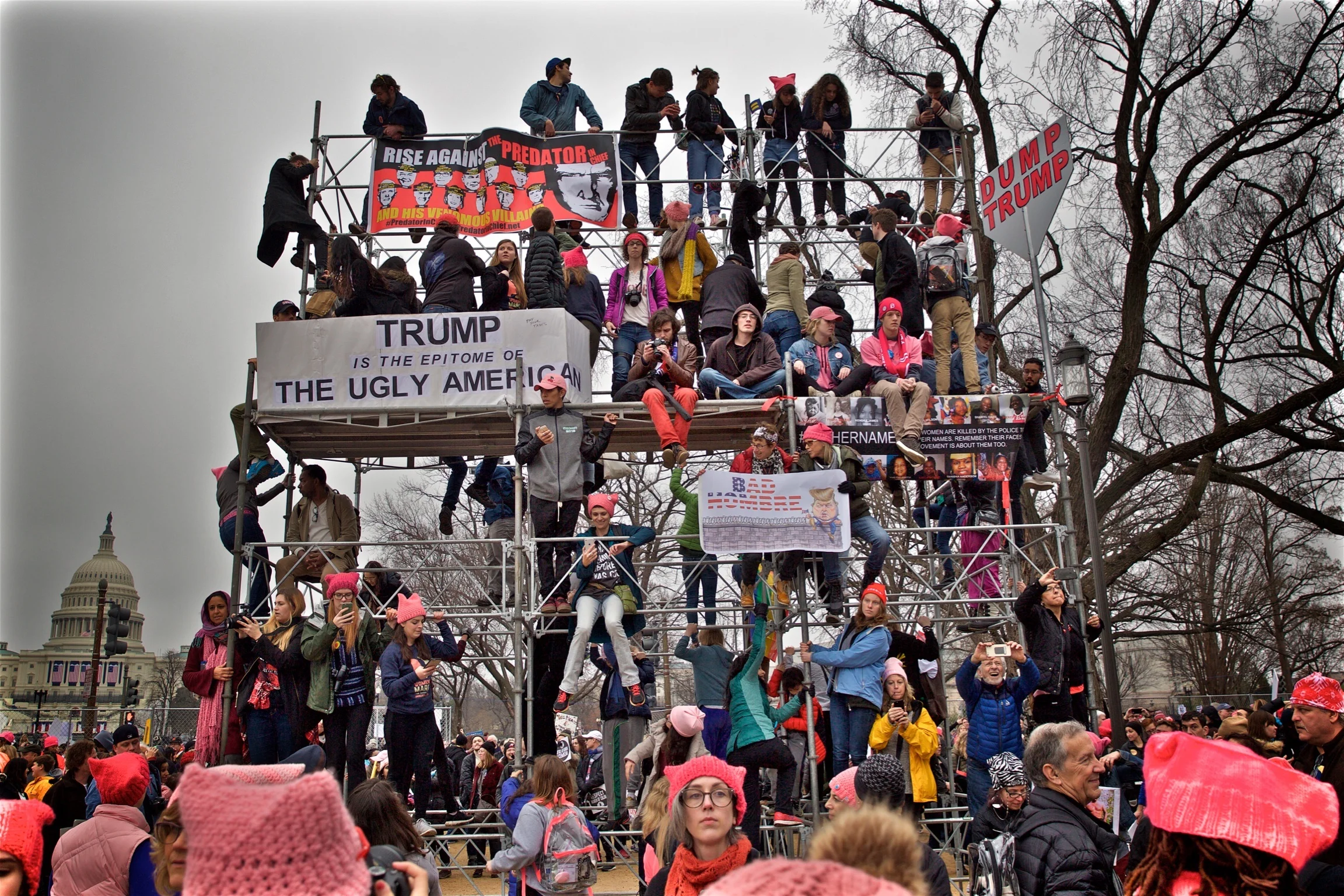 Womens March Protest Anti Trump Washington DC2017.jpg