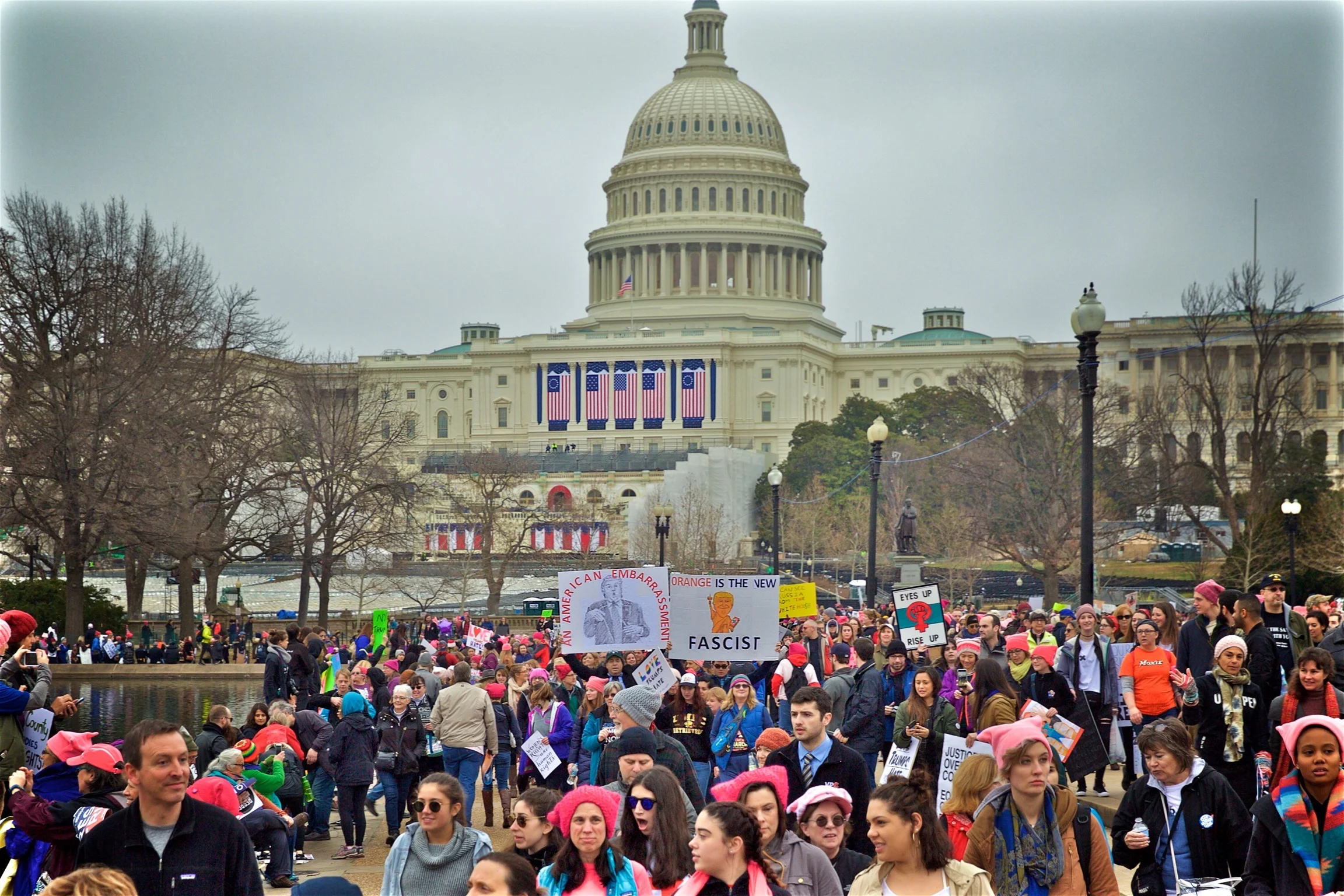 Womens March Protest Capital Hill Washington DC2017.jpg