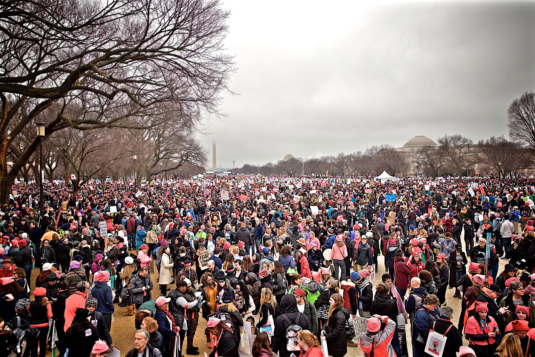 Womens March Protest Mall Crowd Washington DC2017.jpg