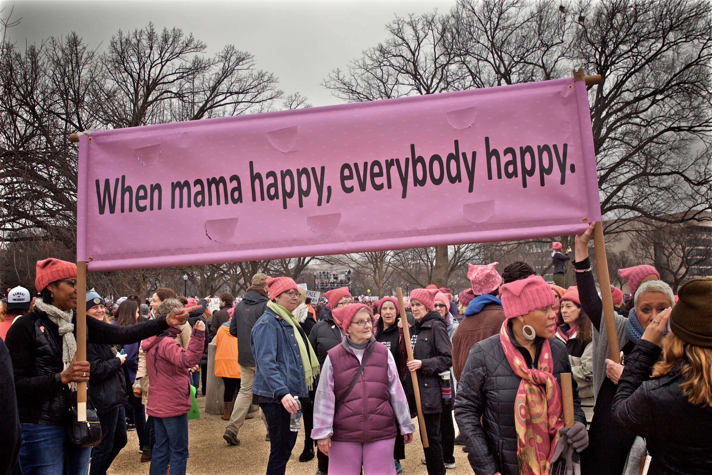 Womens March Protest Mama Happy Washington DC2017.jpg
