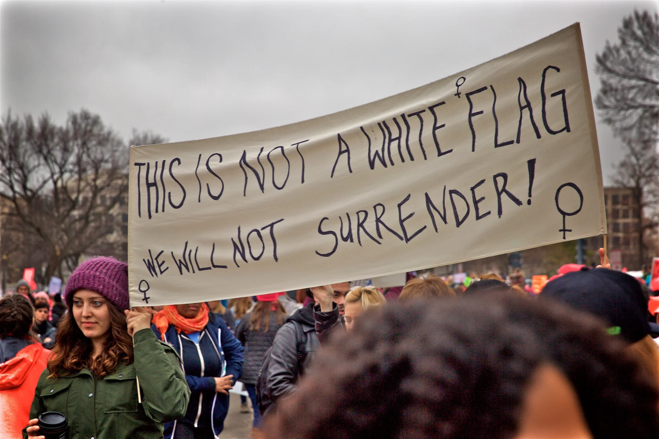 Womens March Protest No Surrender Washington DC2017.jpg