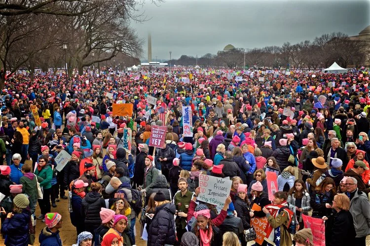 The+Mall+Womens+March+Protest+Washington+DC2017.jpg