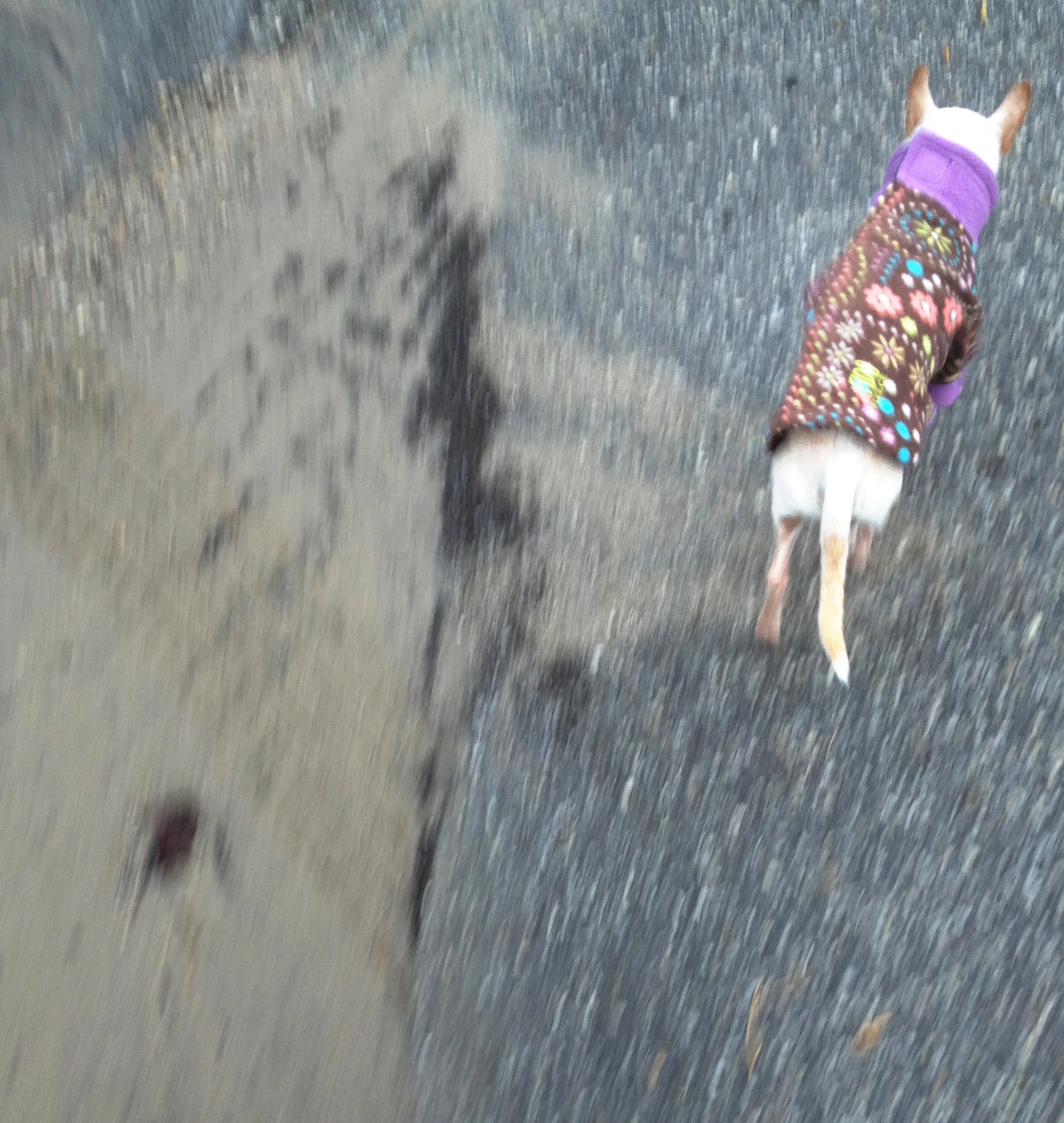 M on the move.jpg
