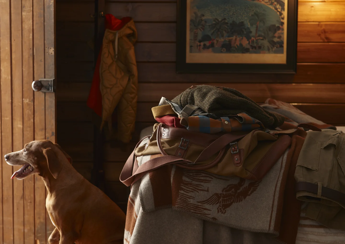 ZDogCabin.jpg