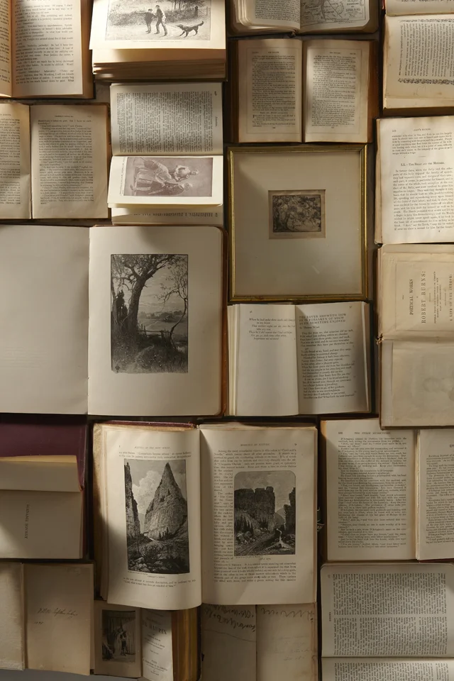 booksopenDk.jpg