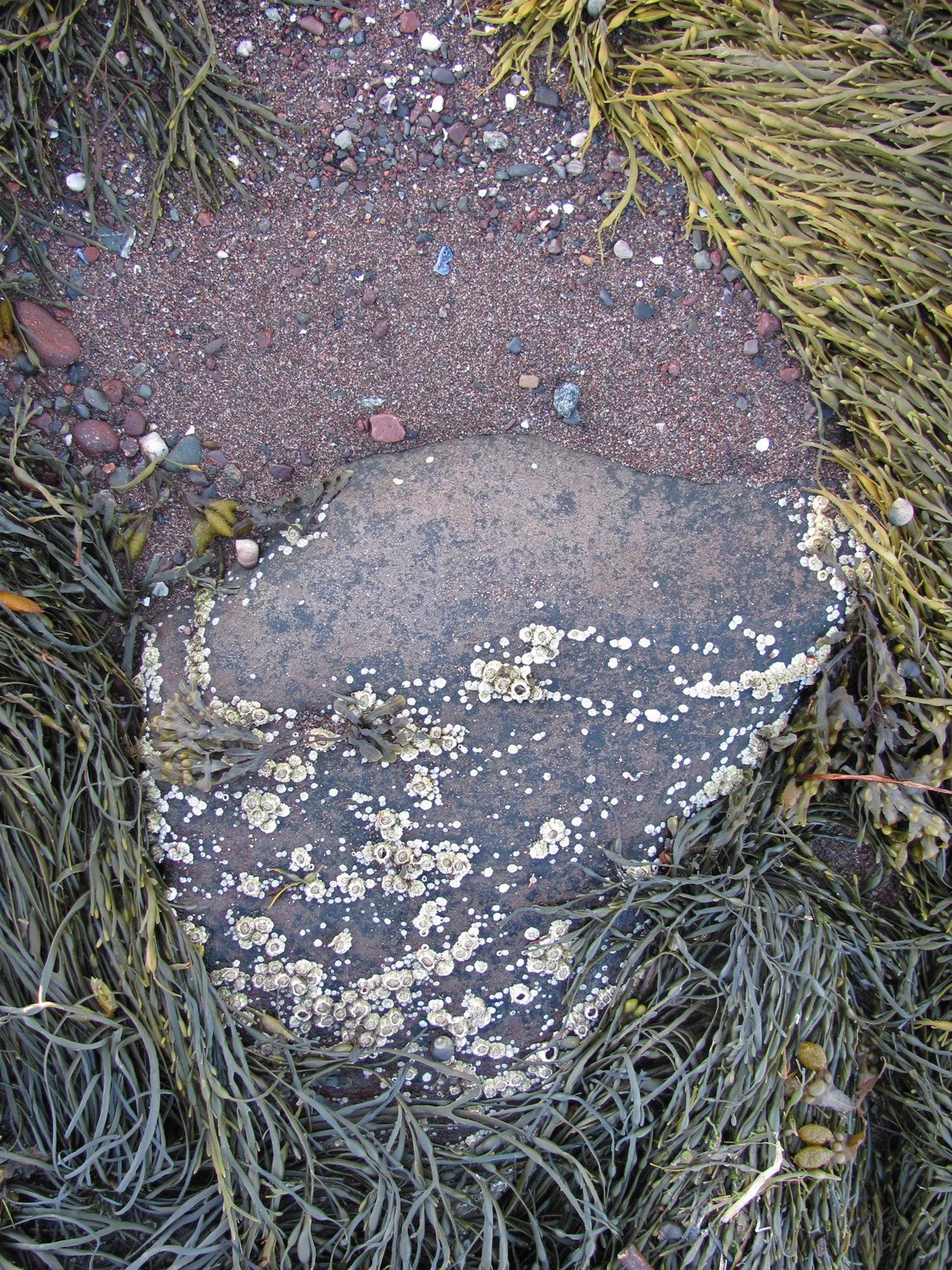 '13Rock and a soft place.jpg