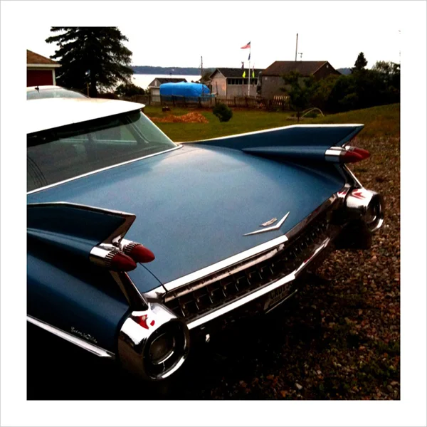 59 Caddy Stern.jpg