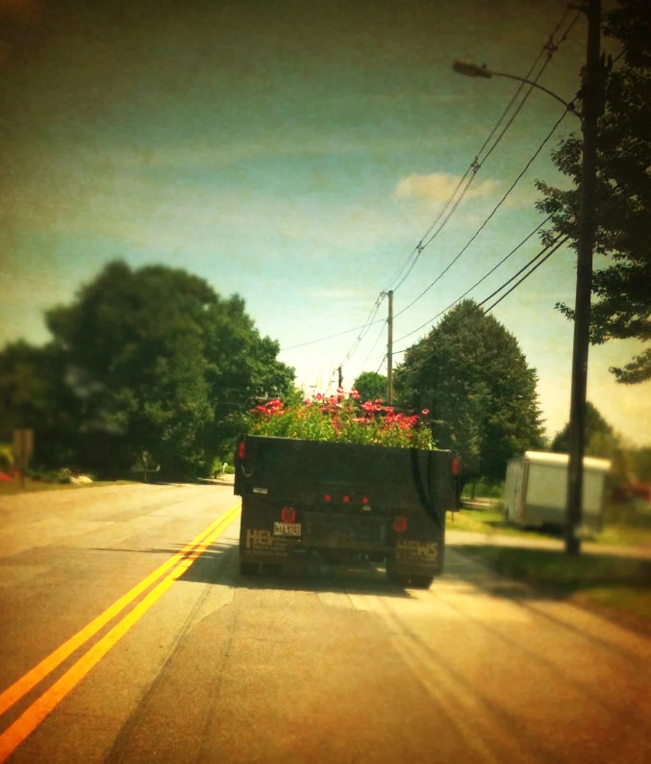 13Broadway gardens truck.jpg
