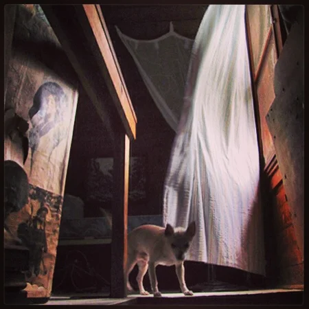 photo-2.JPG