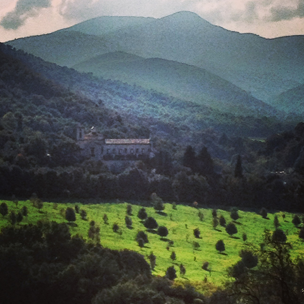 SQspoleto.jpg