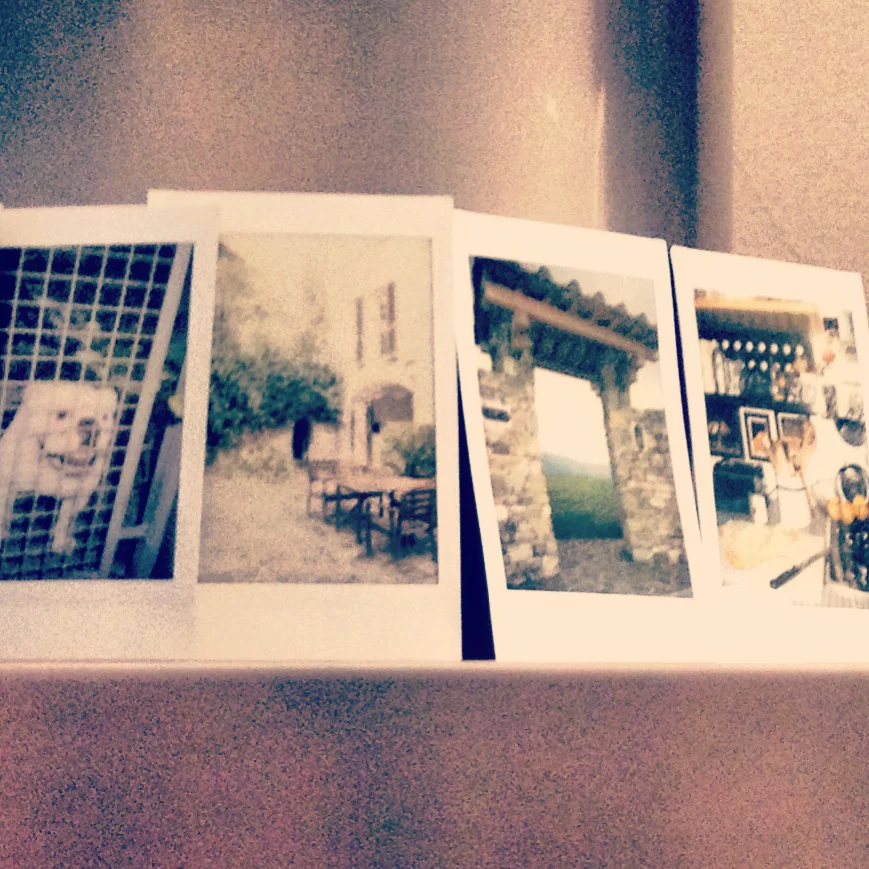 SQpolaroid.jpg