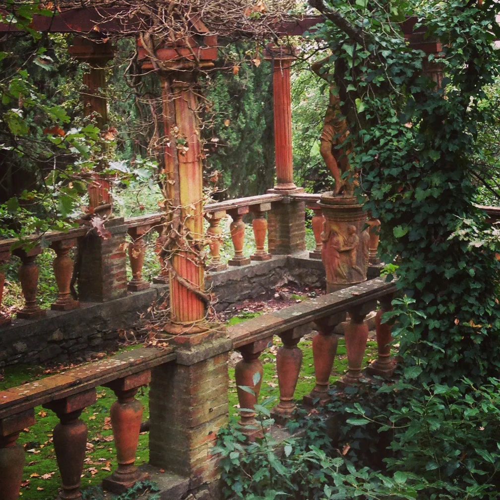 Fairy wood.jpg