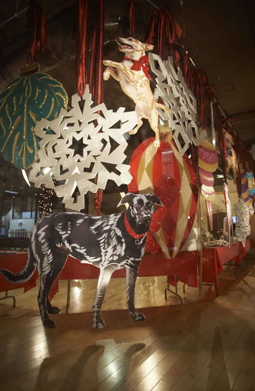19Chesaux_Maine_dogwindows.jpg