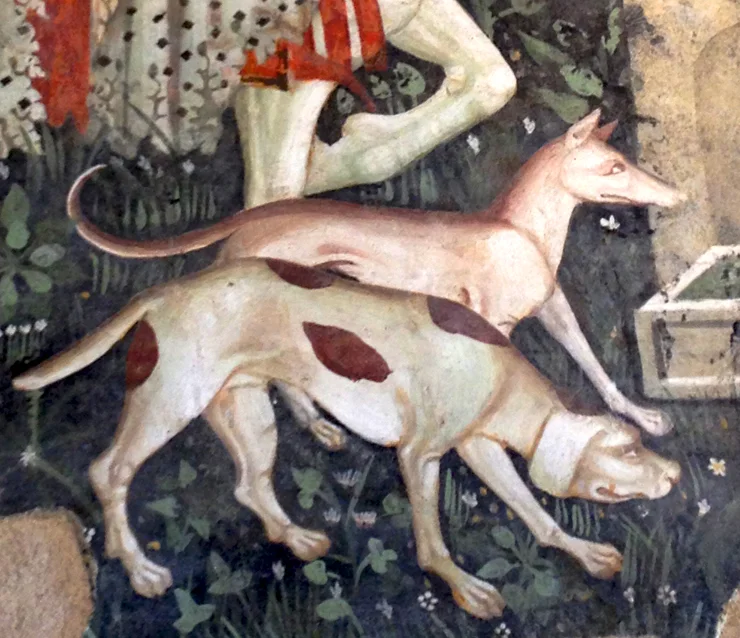 Spoleto hounds.jpg