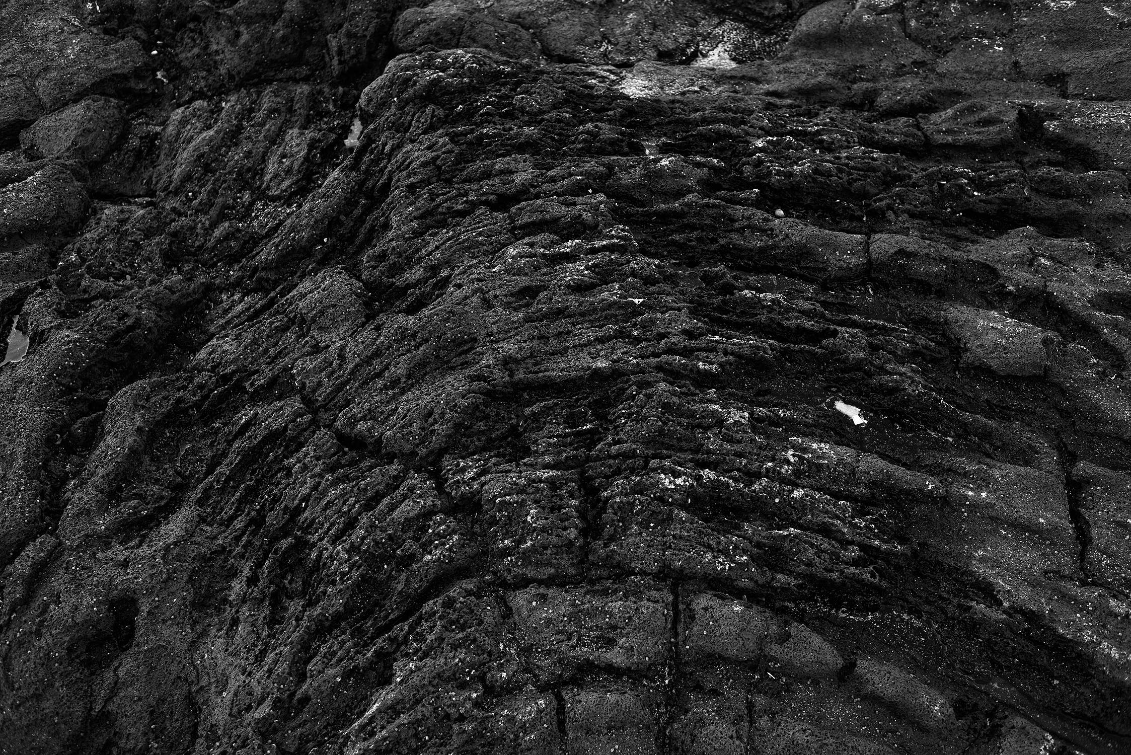 Nikkor AF 35mm 2D