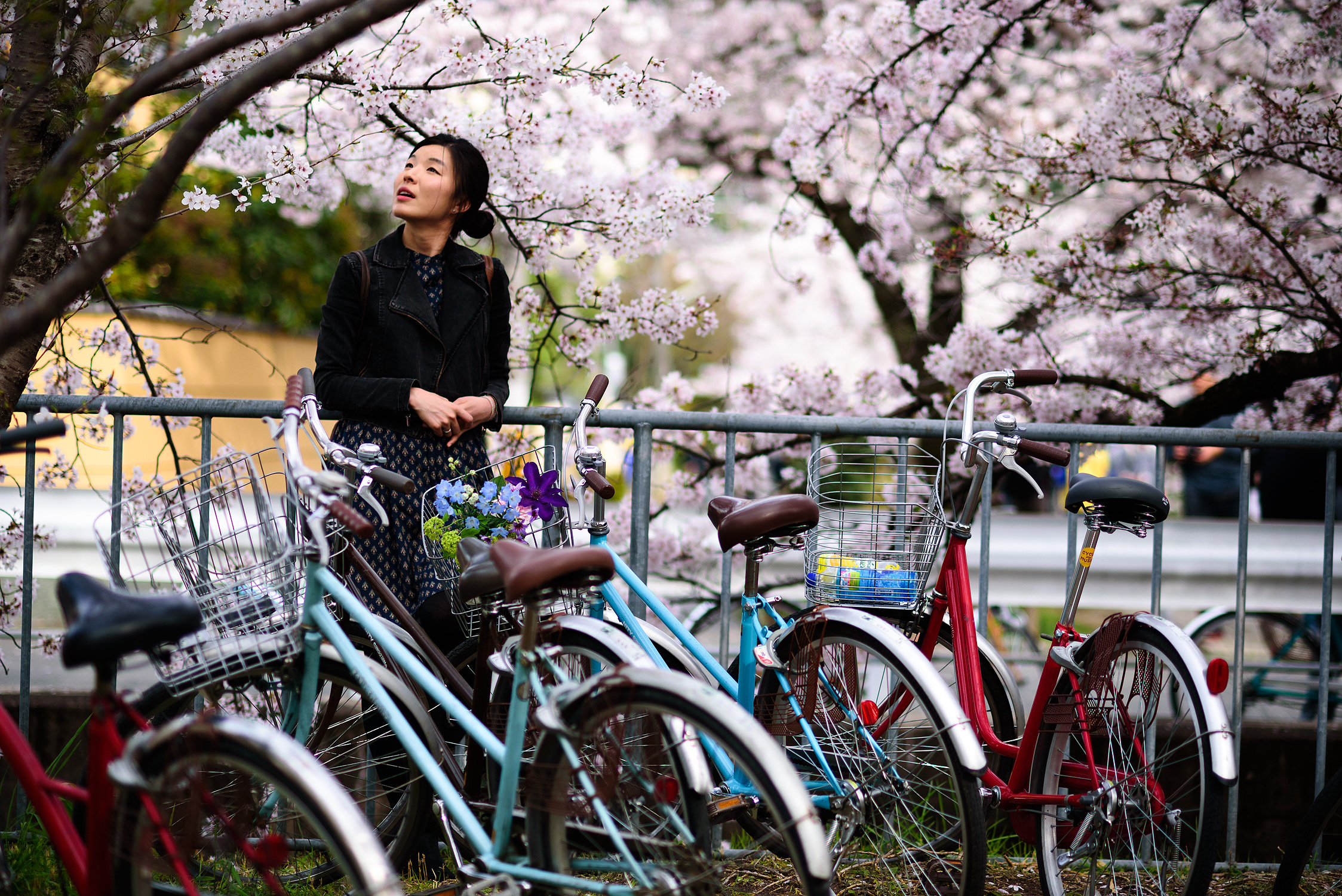 Nikkor AF 85mm 1.8D