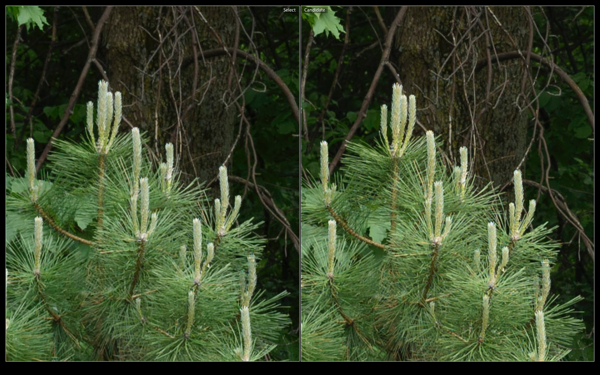 Ai-S 1.2 (left), Planar (right)