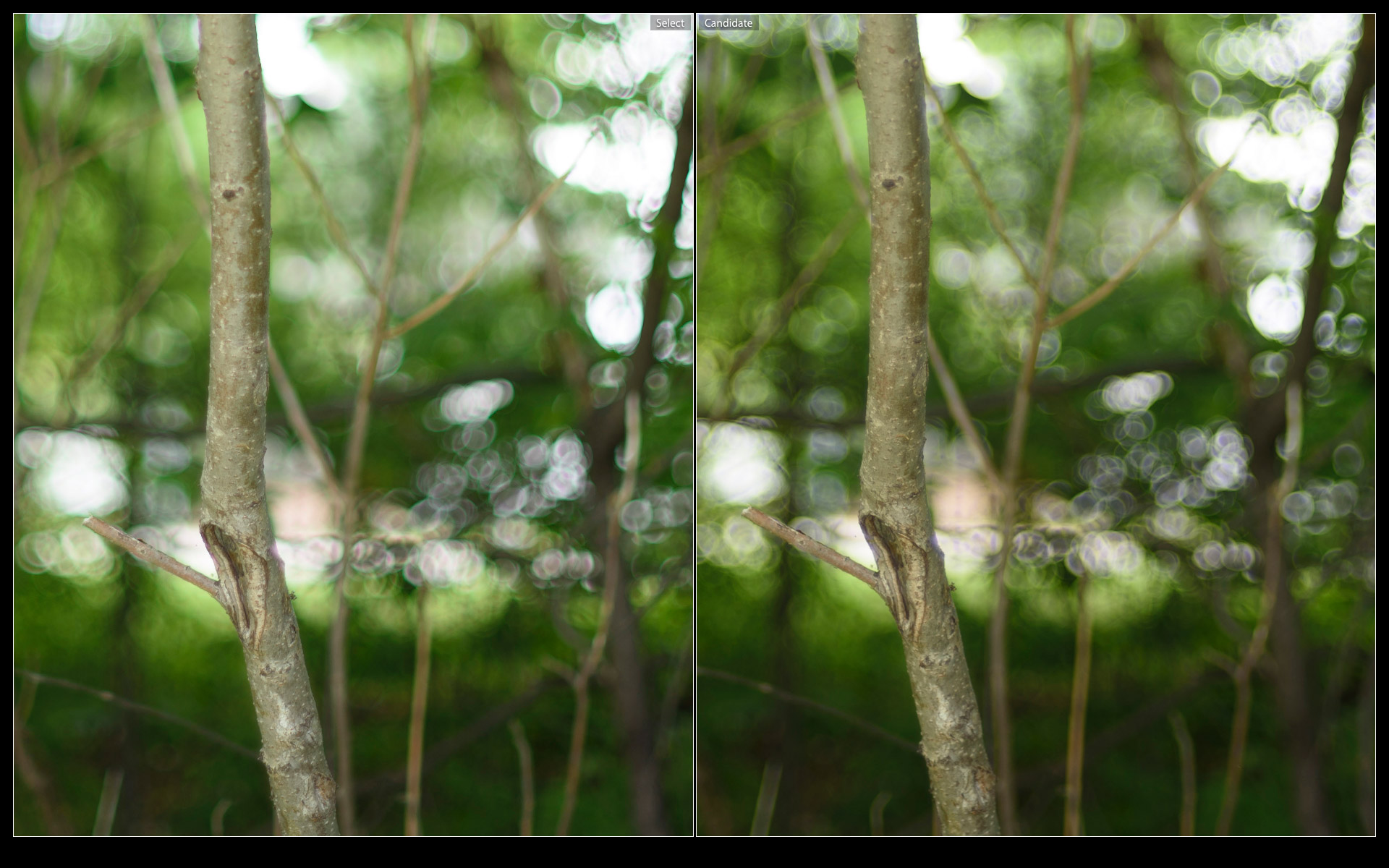 Ai-S 1.2 (left), AF-D 1.4 (right)... no winners here