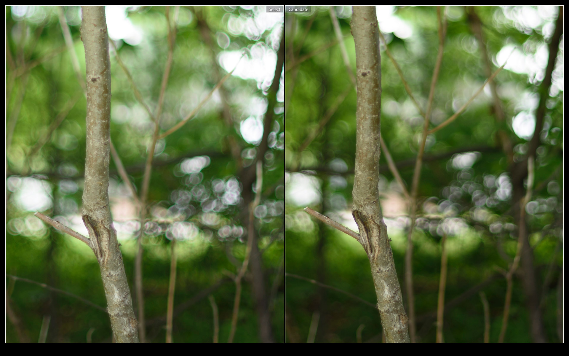 Ai-S 1.2 (left), Planar 1.4 (right)
