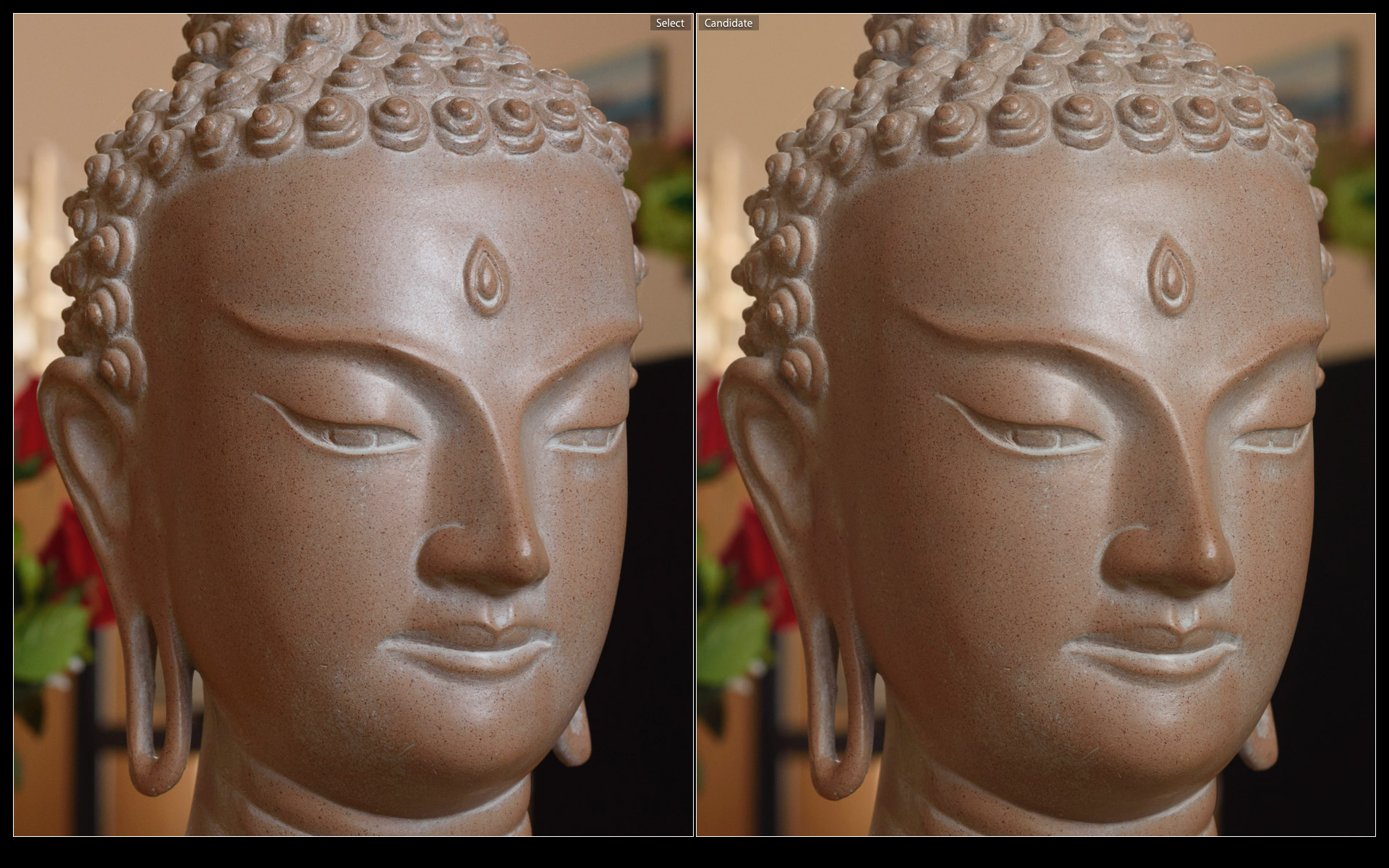 Ai-S 1.2 (left), AF-D (right)