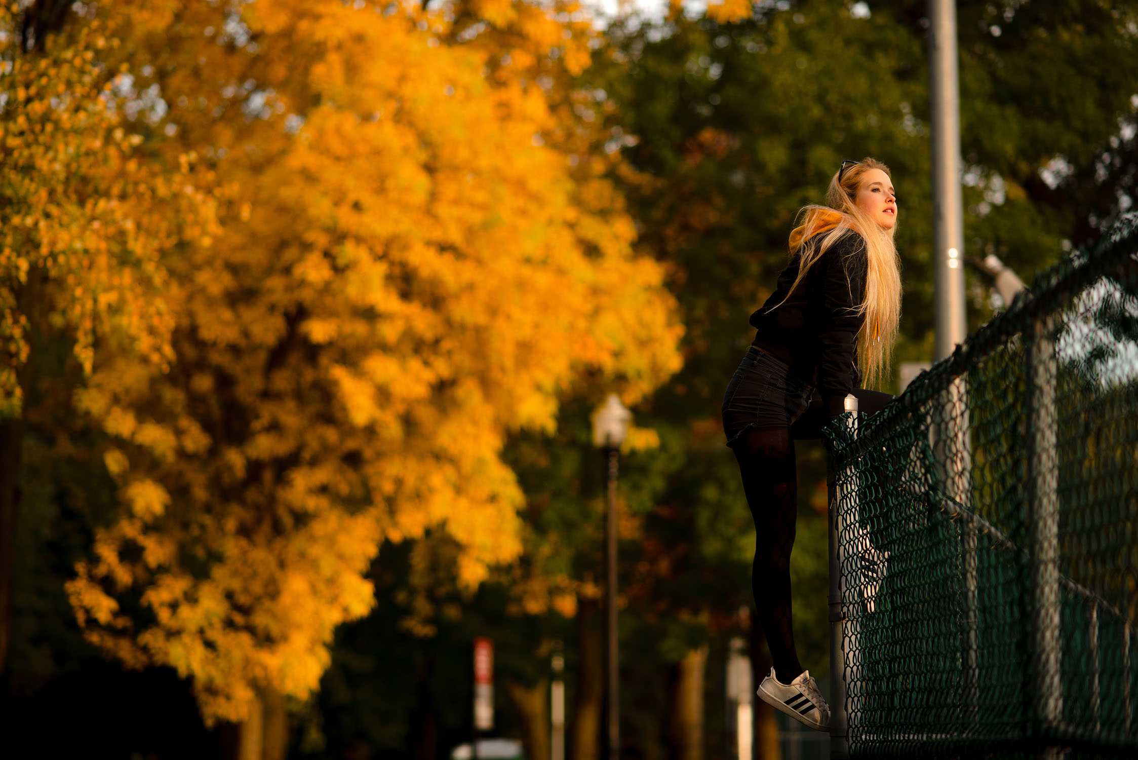 2018MarianneFall-Final-2.jpg